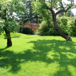 Schubert & Partner Gartengestaltung | Fertigrasen